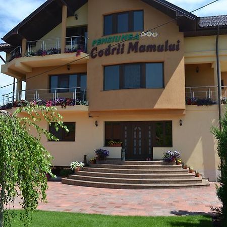 Pensiunea Codrii Mamului Lungesti (Valcea) Exterior foto