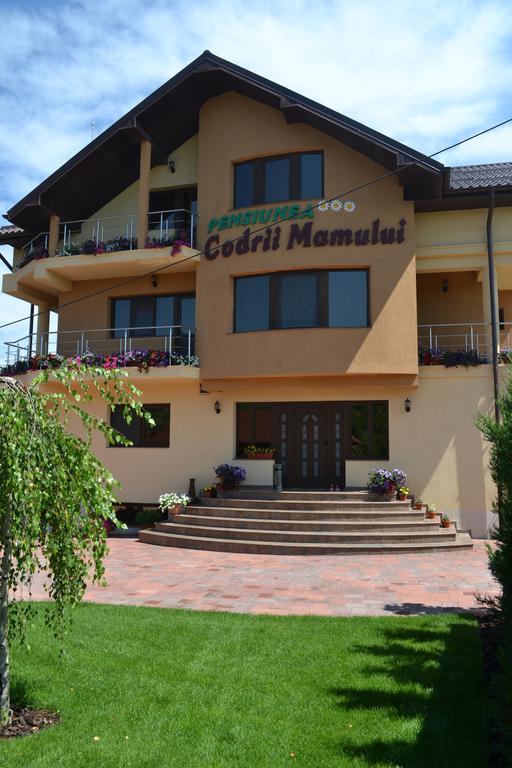 Pensiunea Codrii Mamului Lungesti (Valcea) Exterior foto