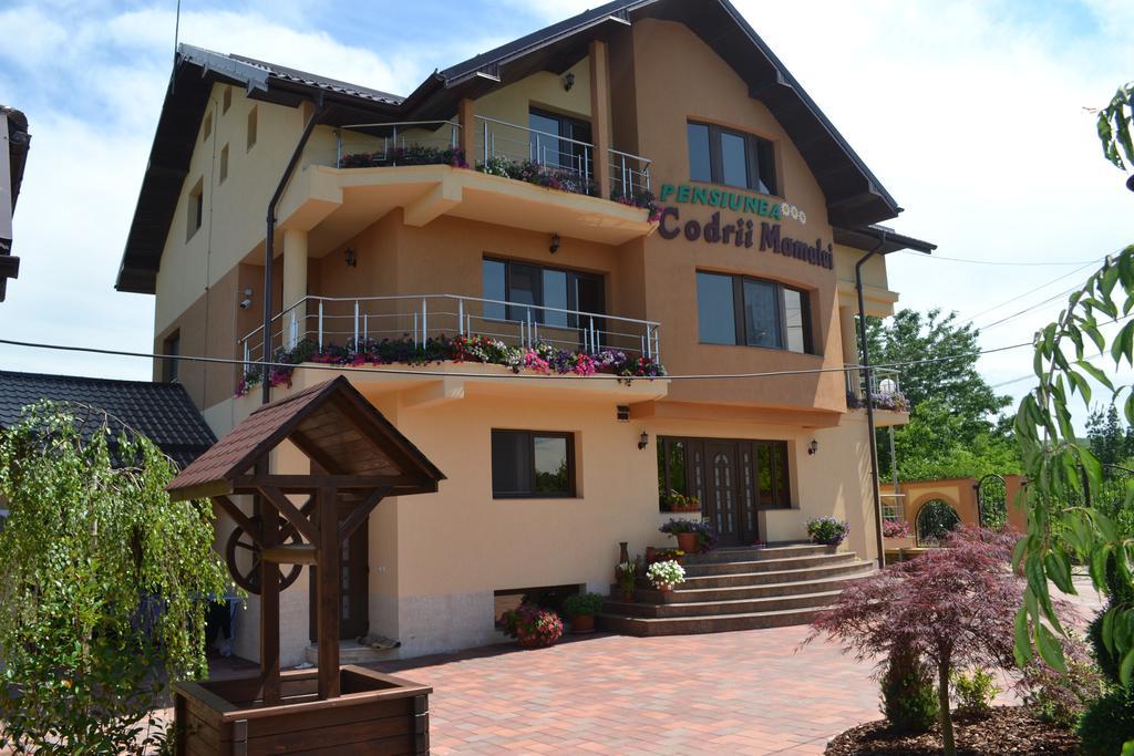 Pensiunea Codrii Mamului Lungesti (Valcea) Exterior foto